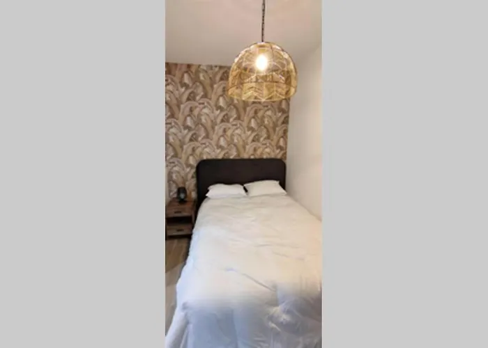 T2 Centre-ville Entierement Renove